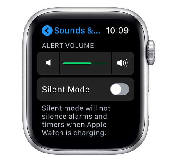 How To Adjust Volume On Apple Watch The IPhone FAQ