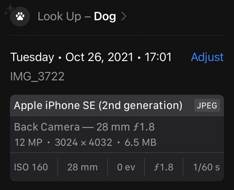 How To Change EXIF Photo Data On IPhone The IPhone FAQ