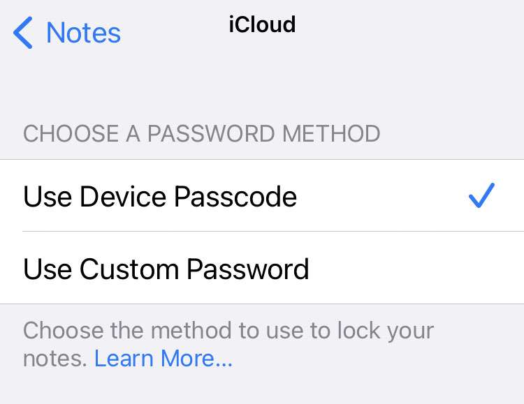 Notes custom password