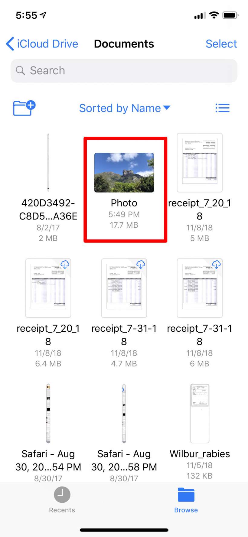 how to save a screenshot as a pdf on mac