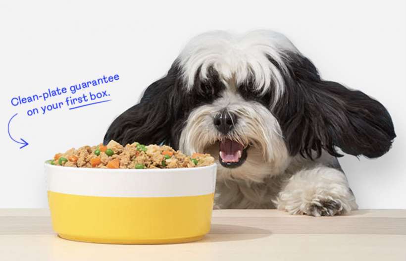 How to order pet food online | The iPhone FAQ