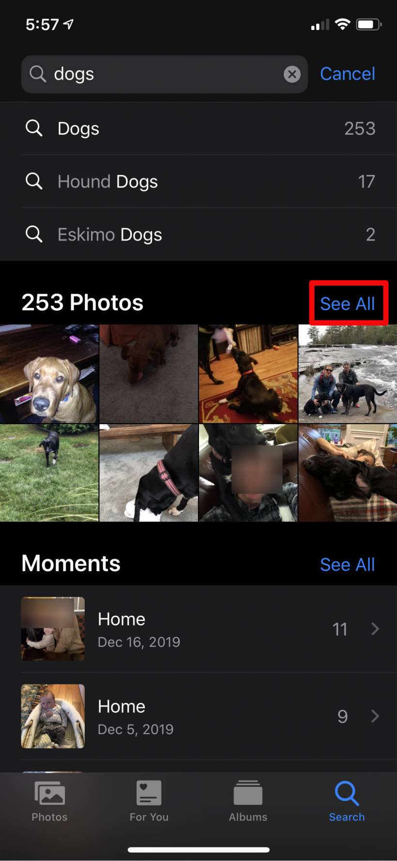 How To Move Photos In Albums On Iphone