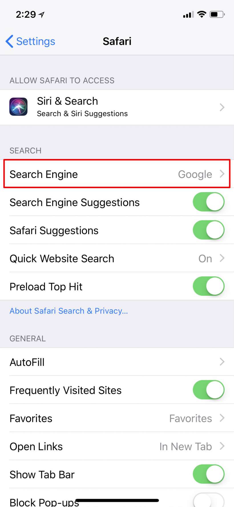 safari search engine