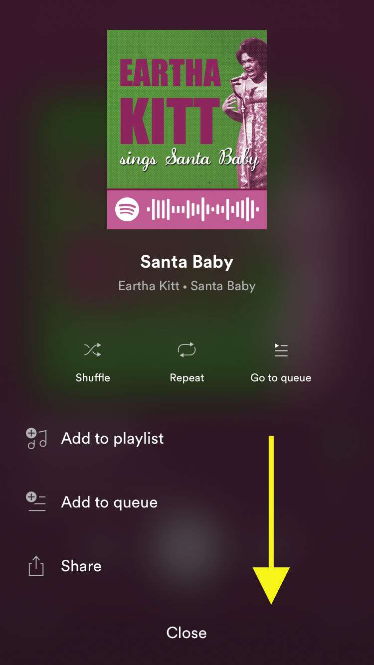 spotify timer iphone