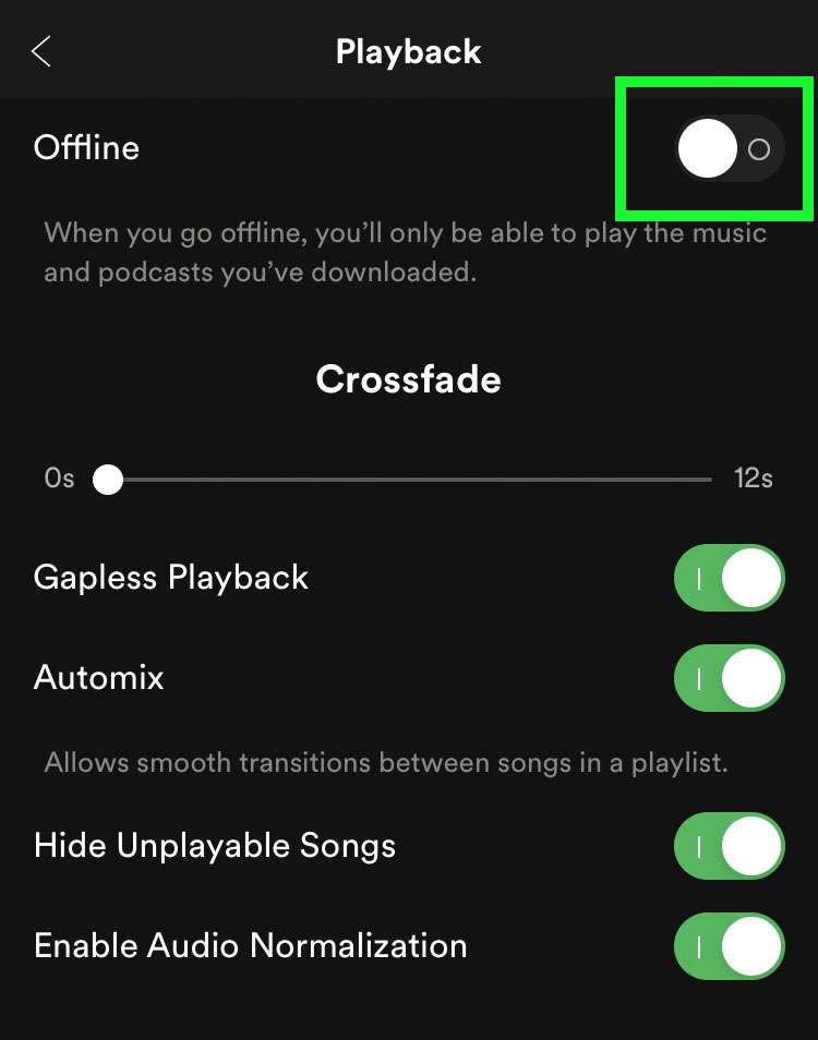 play only downloaded songs on spotify on desktop app