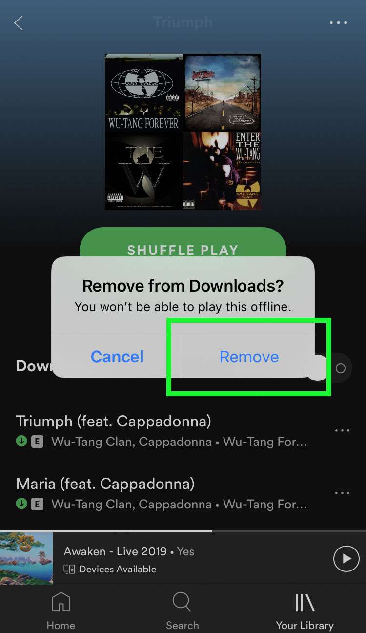 how to delete spotify account from ipad