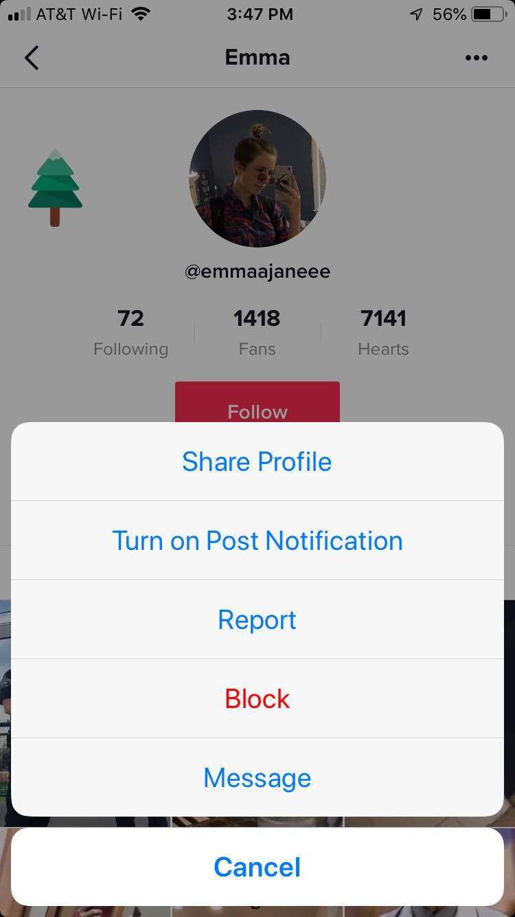 How do I block a person on TikTok? | The iPhone FAQ