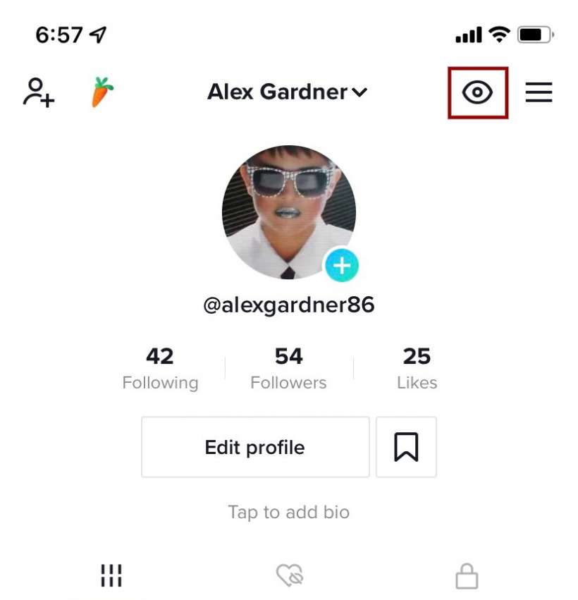 How Do I Enable disable Profile Views On TikTok The IPhone FAQ