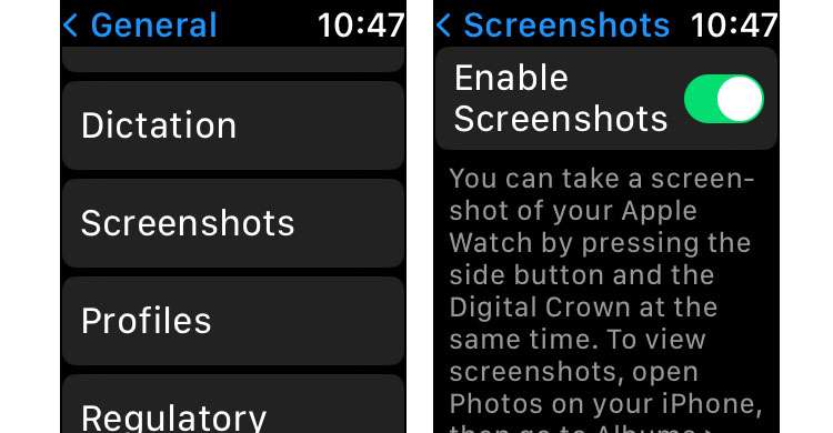 Can I take a screenshot on Apple Watch? | The iPhone FAQ